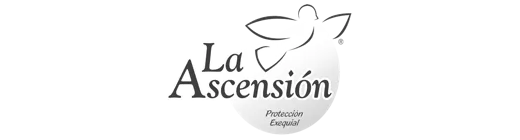 logo-ascension.76e8607c